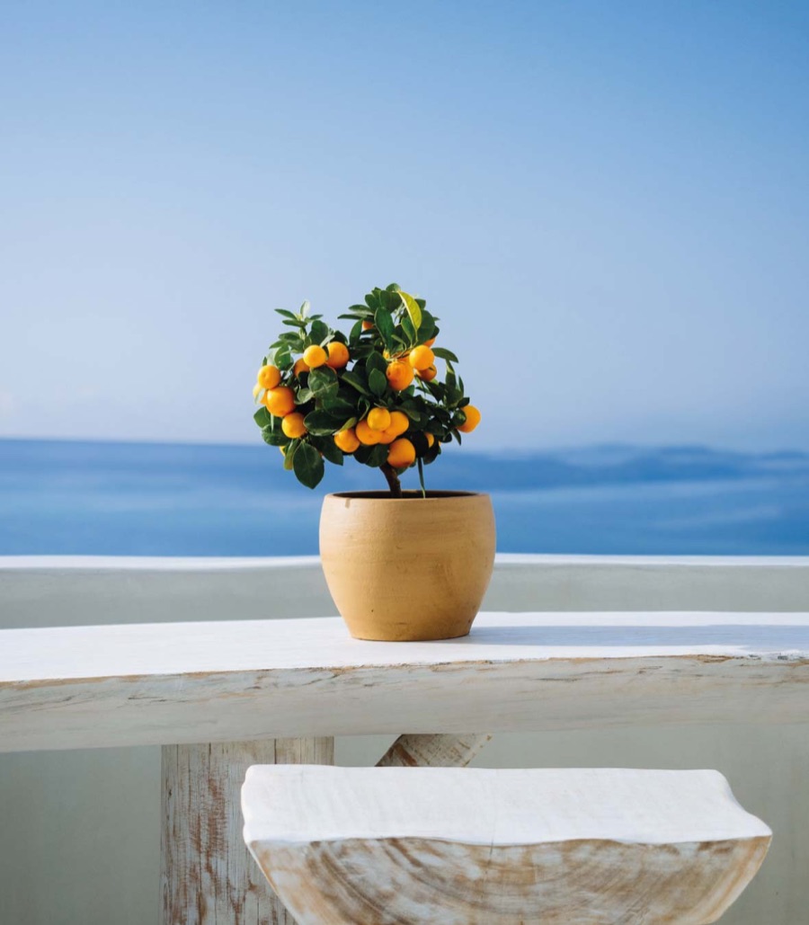 Capri